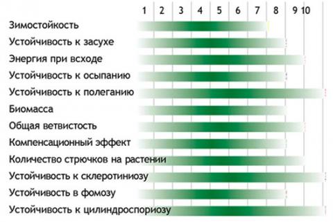 Агрономические характеристики