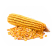 Кукуруза