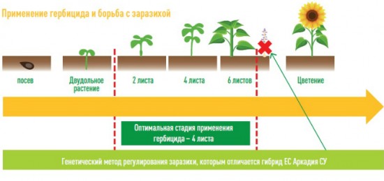 borjba-s-zarazihoj borjba-s-zarazihoj